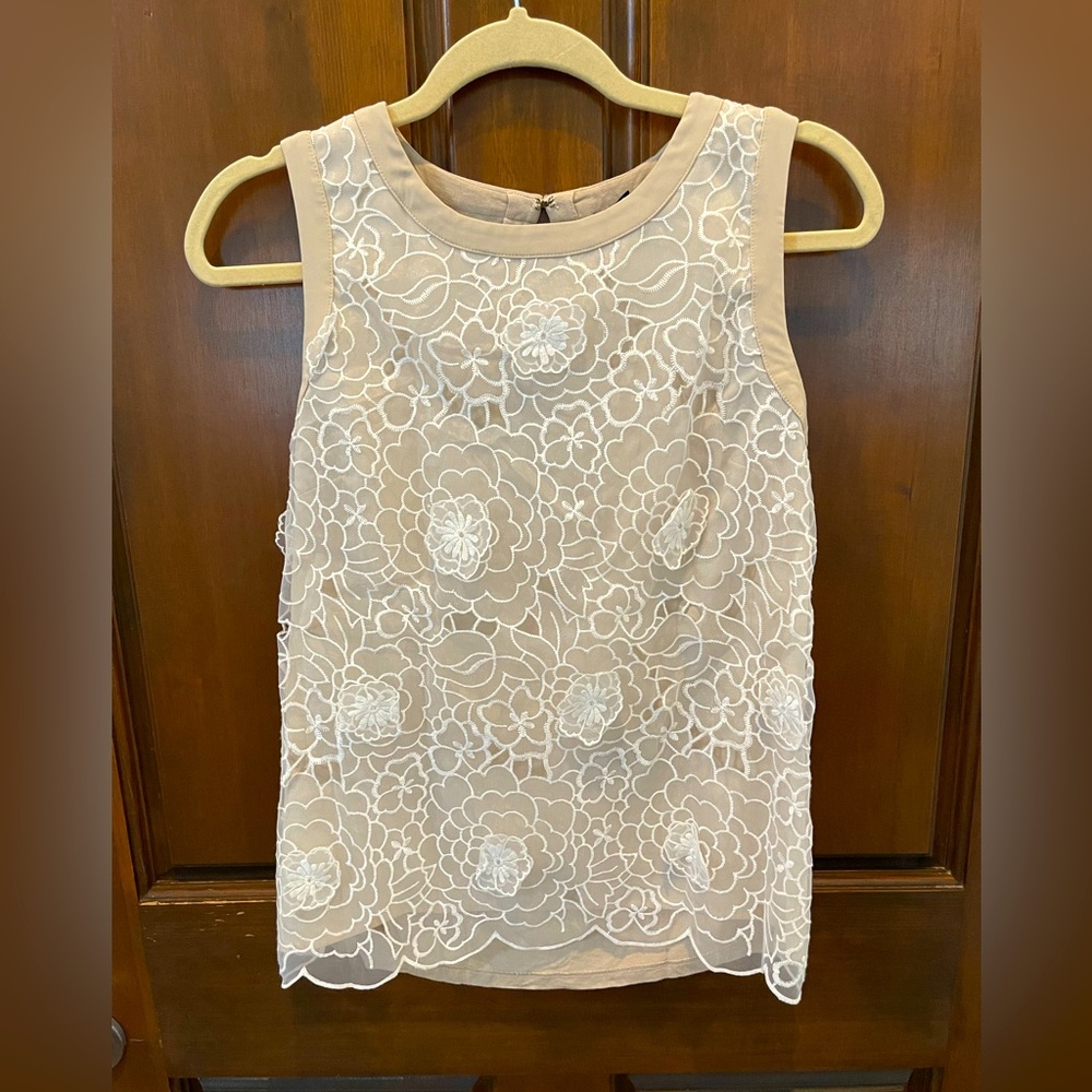 Beautiful Ann Taylor top.